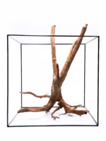 Terrarium / Aquarium Wurzel Stamp – Groß – Bild 2