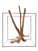 Terrarium / Aquarium Wurzel Stamp – Groß – Bild 3