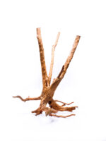 Terrarium / Aquarium Wurzel Stamp – Groß