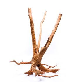 Terarijní / akvarijní kořen Stamp – velký