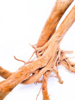 Aquarium / terrarium wood - Stamp - Big - Image 7