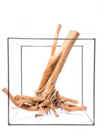 Aquarium / terrarium wood - Stamp - Big - Image 4