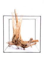 Aquarium / terrarium wood - Stamp - Big - Image 5