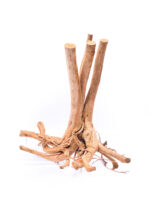 Aquarium / terrarium wood - Stamp - Big