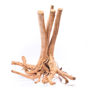 Terrarium / Aquarium Wurzel Stamp – Groß