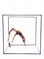 Radice per acquario / terrario - Plant Wood - Piccolo/Medio - immagine 3