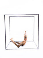 Radice per acquario / terrario - Plant Wood - Piccolo/Medio - immagine 2