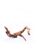 Štartovacia sada - Chov šípových žiab – Obrázok 13