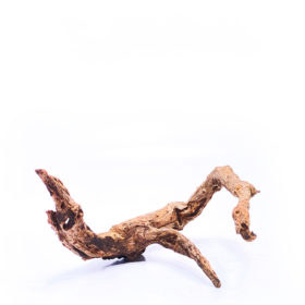Radice per acquario / terrario - Plant Wood - Piccolo/Medio