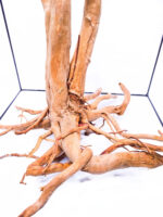 Terrarium / Aquarium Wurzel Stamp – Groß – Bild 6