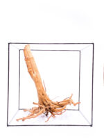 Terrarium / Aquarium Wurzel Stamp – Groß – Bild 5