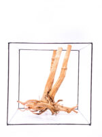 Terrarium / Aquarium Wurzel Stamp – Groß – Bild 2