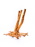 Terrarium / Aquarium Wurzel Stamp – Groß