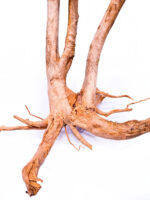 Aquarium / terrarium wood - Stamp - Big - Image 6