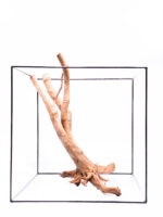 Aquarium / terrarium wood - Stamp - Big - Image 5