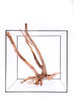 Aquarium / terrarium wood - Stamp - Big - Image 2