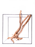 Aquarium / terrarium wood - Stamp - Big - Image 3