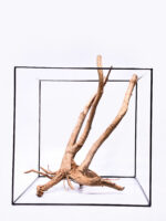 Aquarium / terrarium wood - Stamp - Big - Image 4