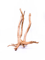 Aquarium / terrarium wood - Stamp - Big