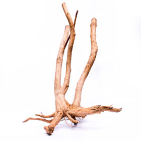 Aquarium / terrarium wood - Stamp - Big