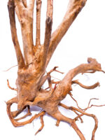 Aquarium / terrarium wood - Stamp - Big - Image 5