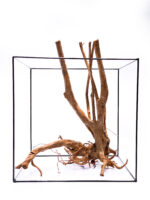 Aquarium / terrarium wood - Stamp - Big - Image 4