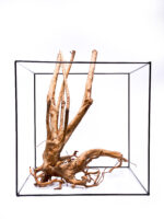 Aquarium / terrarium wood - Stamp - Big - Image 2