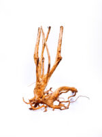 Aquarium / terrarium wood - Stamp - Big