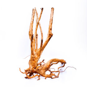 Terarijní / akvarijní kořen Stamp – velký