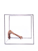 Radice per acquario / terrario - Plant Wood - Piccolo/Medio - immagine 2