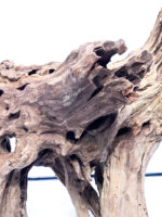Terarijní / akvarijní kořen Plant Wood - střední - Obrázek 3
