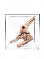 Terarijní / akvarijní kořen Plant Wood - střední - Obrázek 2