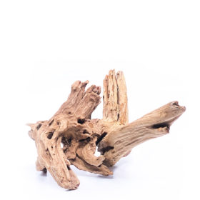 Terrarium / Aquarium Wurzel Plant Wood - Medium