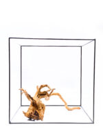 Koreň pre terárium / akvárium Red Moor - veľký – Obrázok 3