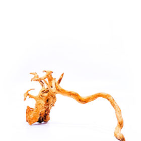 Aquarium / terrarium wood - Red moor - Big