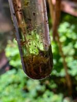 Glasreagenzglas 16 x 100 mm – Bild 2