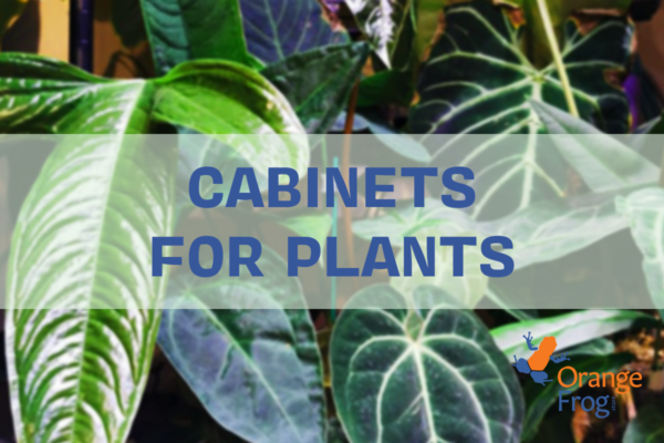 Glass cabinets for plants