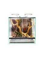 Štartovacia sada - Chov šípových žiab – Obrázok 2