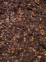 Terarijní substrát