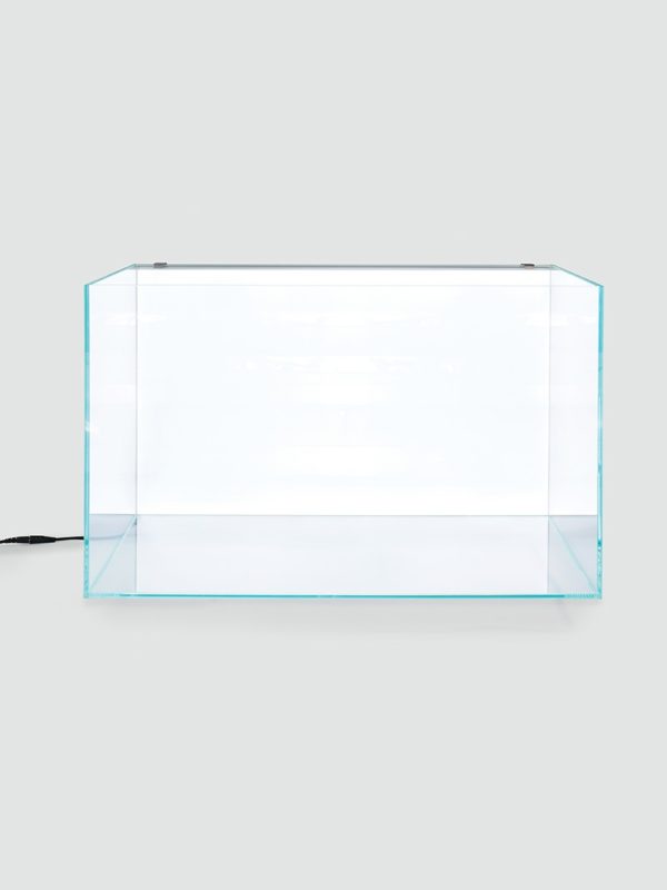 Lightground - podświetlane tło do akwarium / wiwarium