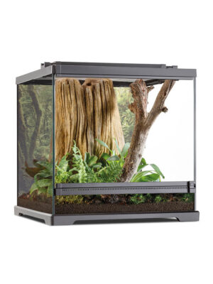 Exo Terra frog terrarium