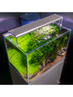 Skylight Entriq – Obrázok 8