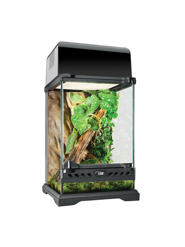 Terrarium Exo Terra Natural Nano 1 OrangeFrog