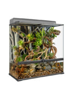 Exo Terra Natural Terrarium - LARGE – Bild 8
