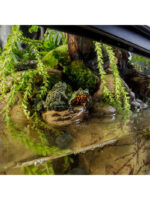 Terrarium Exo Terra Natural - MEDIUM - Image 10