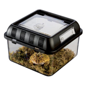 Exo Terra Breeding Box