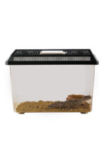 Exo Terra Faunarium - Image 10