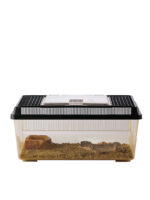 Exo Terra Faunarium - Image 12