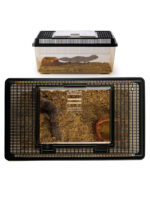 Exo Terra Faunarium - Image 11