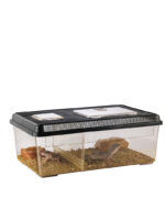 Exo Terra Faunarium - Image 2